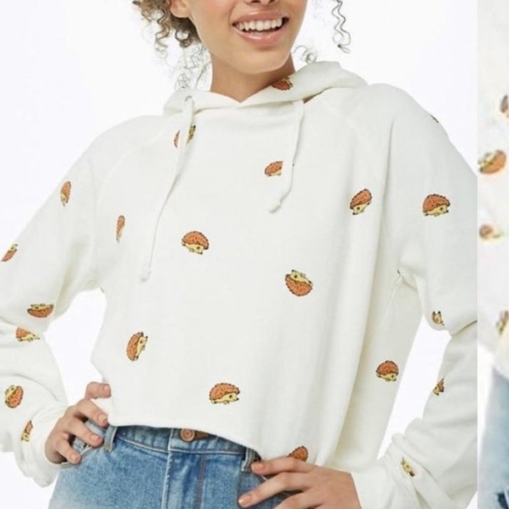 F21 Cropped Hedgehog Sweater